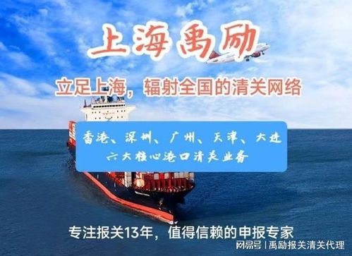 上海出口代理報關服務 專業商務代理，助您高效通關